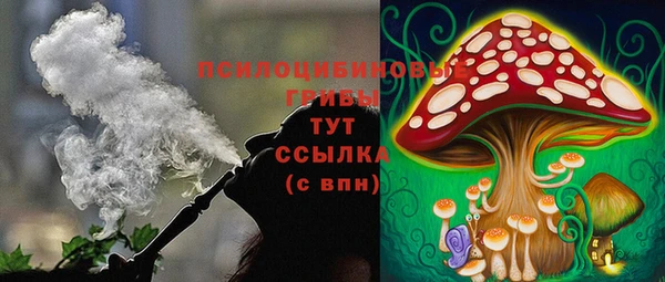 2c-b Алексин