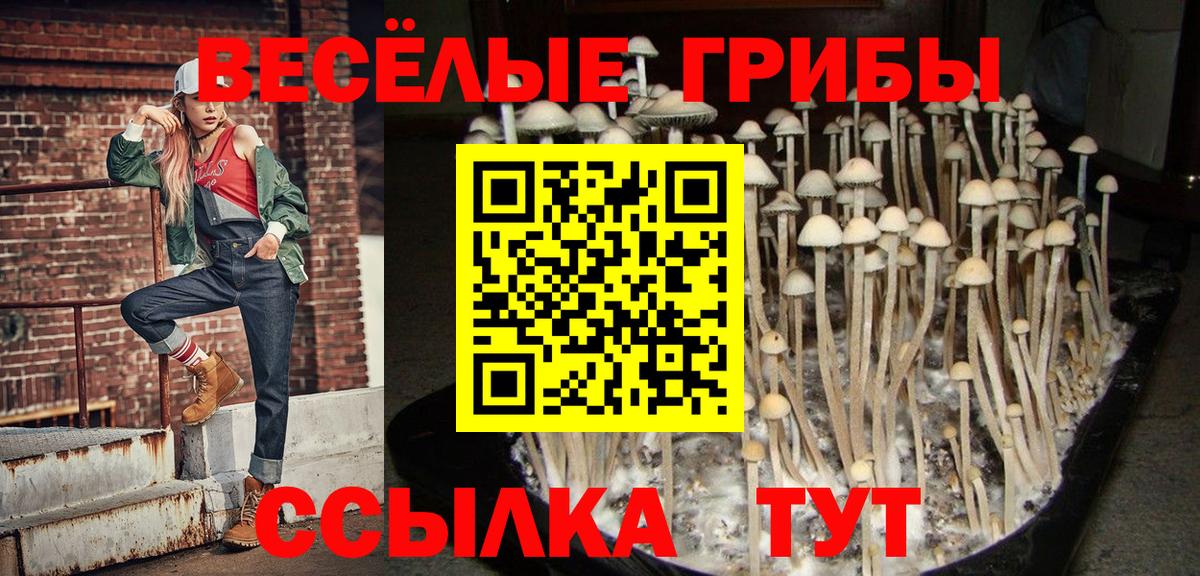 Каменск-Уральский  закладка  Вход с VPN  Галлюциногенные грибы ЛСД 