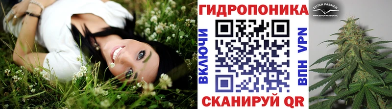 Шишки марихуана сатива  Каменск-Уральский 